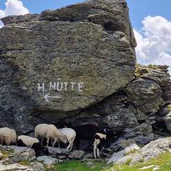 Die wenigen schattigen Plätze sind sehr begehrt