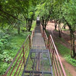 The Skywalk at Elephant Nature Park.