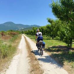 Jetzt starten die Kirschenhaine.