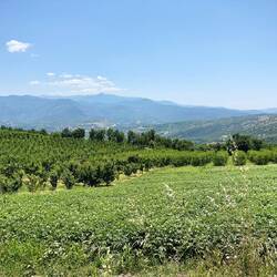 Es hört nicht auf. 🍒🍒🍒