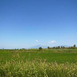 Alles flach, wo man hinschaut.