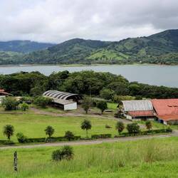 "Pequeña Helvetica".