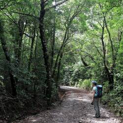 Hiking in Monte Verde.