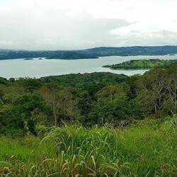 Lake Arenal panorama.