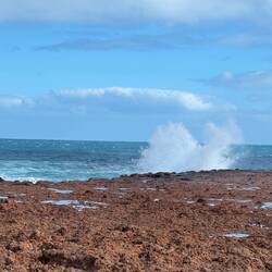 Blow holes Quobba