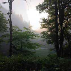 Die Sonne im Morgennebel