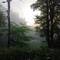 Die Sonne im Morgennebel