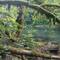 Le Doubs Tal