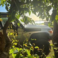 Camp Kalbarri. Night 1 looks promising.