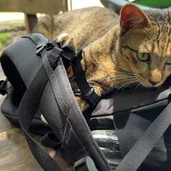 ... and he hung out on my backpack on our second visit.