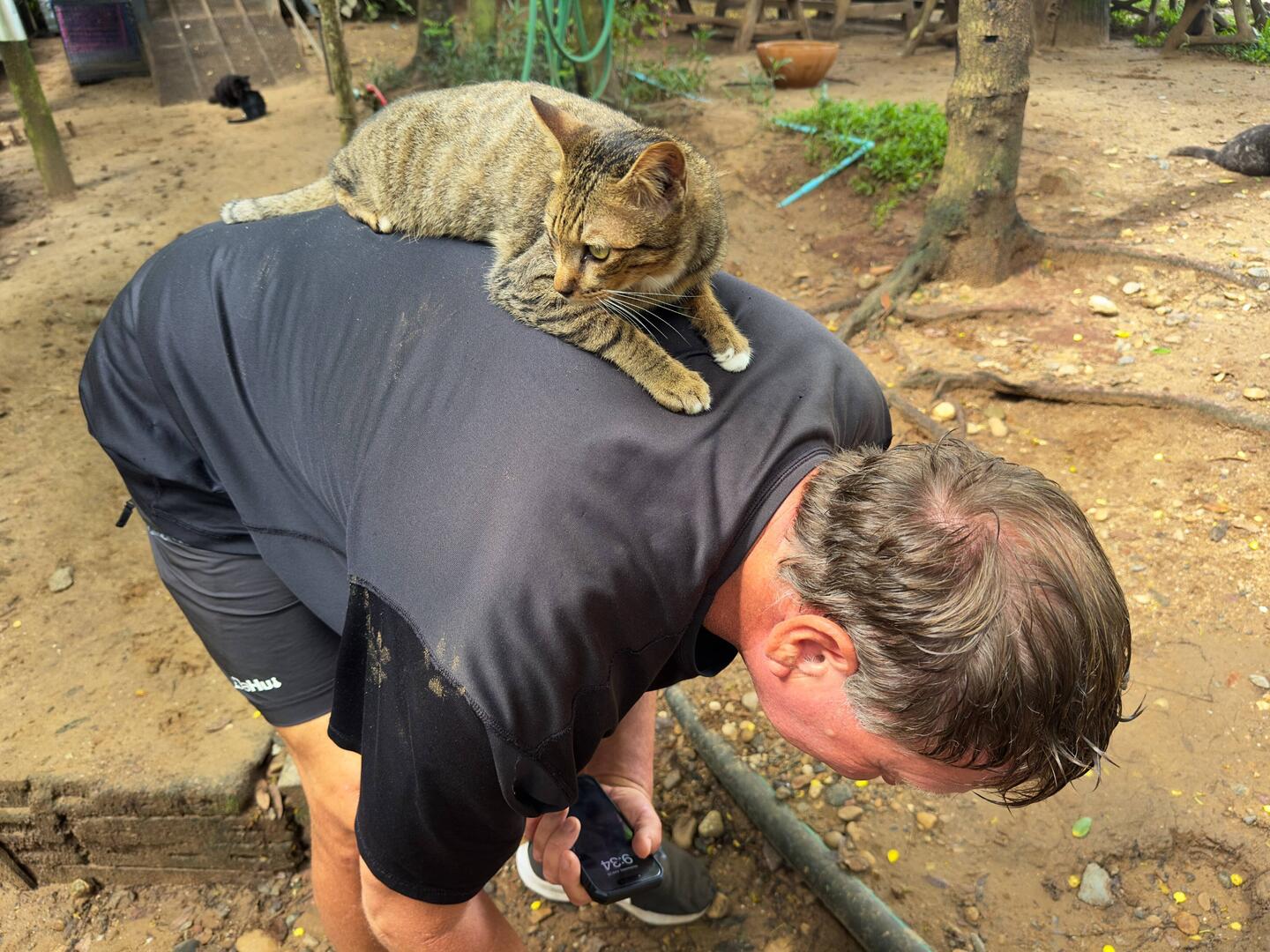This kitty jumped onto Jeff's back the first time we visited...
