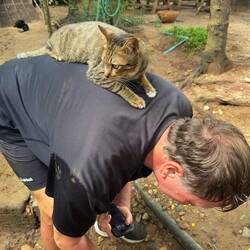 This kitty jumped onto Jeff's back the first time we visited...
