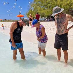 alle beobachten fasziniert die zahmen Rochen 😍