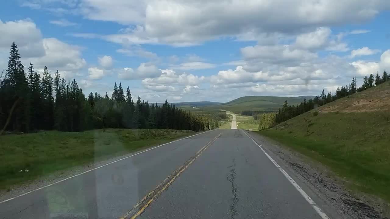 Unendliche Weiten voller Wälder 🤩🍀