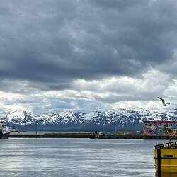 Eine Toplage mit den schneebedeckten Bergen im Hintergrund-traumhaft schön 🤩