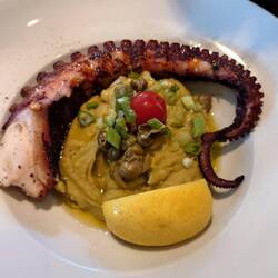 Grilled octopus