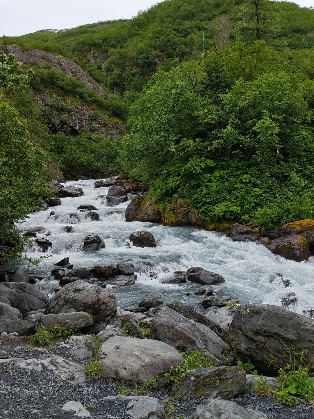 Whittier Creek
