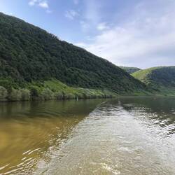 Moselfarben grün und braun