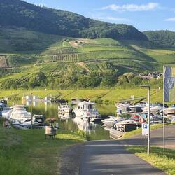 Yachthafen Senheim, Blick von der Landseite, Solaris in der Mitte hinten