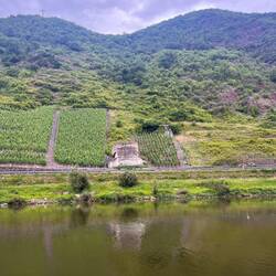 Valwiger Berg: Bahntunnel, Champignonzuchtstätte, dann unterirdische Rüstungsfabrik - gesprengt