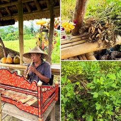 Eine kleine Rast bei einem Erdnussbauern