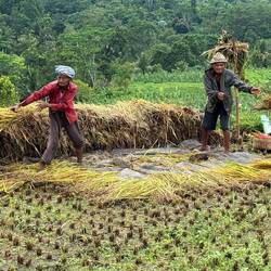 Was für eine Arbeit. Ist sehr eindrucksvoll, dies live zu sehen.