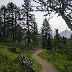 Mega coole Trail🥰