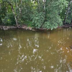 Weisser Main und Roter Main