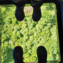 ....die hat am Boden ein gewöhnungsbedürftiges Fenster!😳