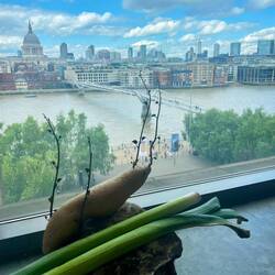 Silly Tate installation with great view of St Paul's and Millennium bridge