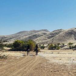 Locals hoch zu Pferd