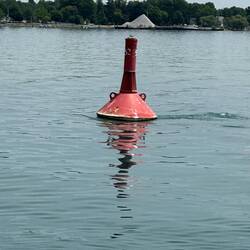 You wouldn't know the river had a current until you boated on it or saw this