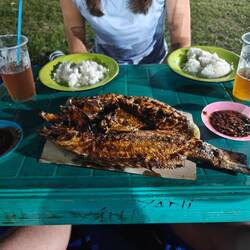 Mahlzeit 🤤