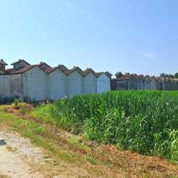 We naderen een raar bouwsel. Marc gokt op een sociale woonwijk.