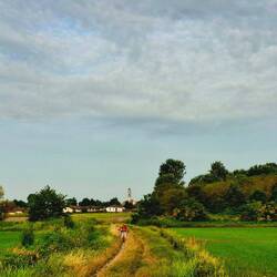 Een klassiek plaatje uit de landelijkheid van deze streek.