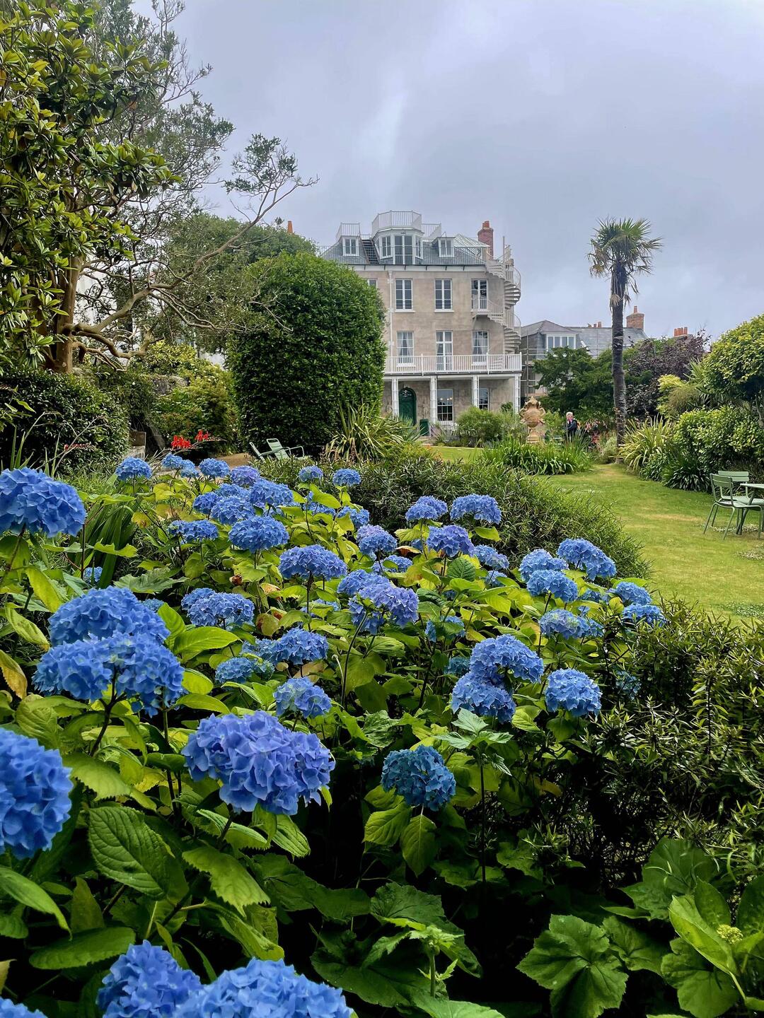 Hugo's backyard garden