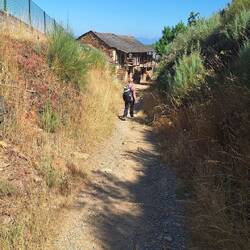 Some of the homes are right on the Camino