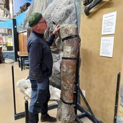 Im Montana Dinosaurier Center