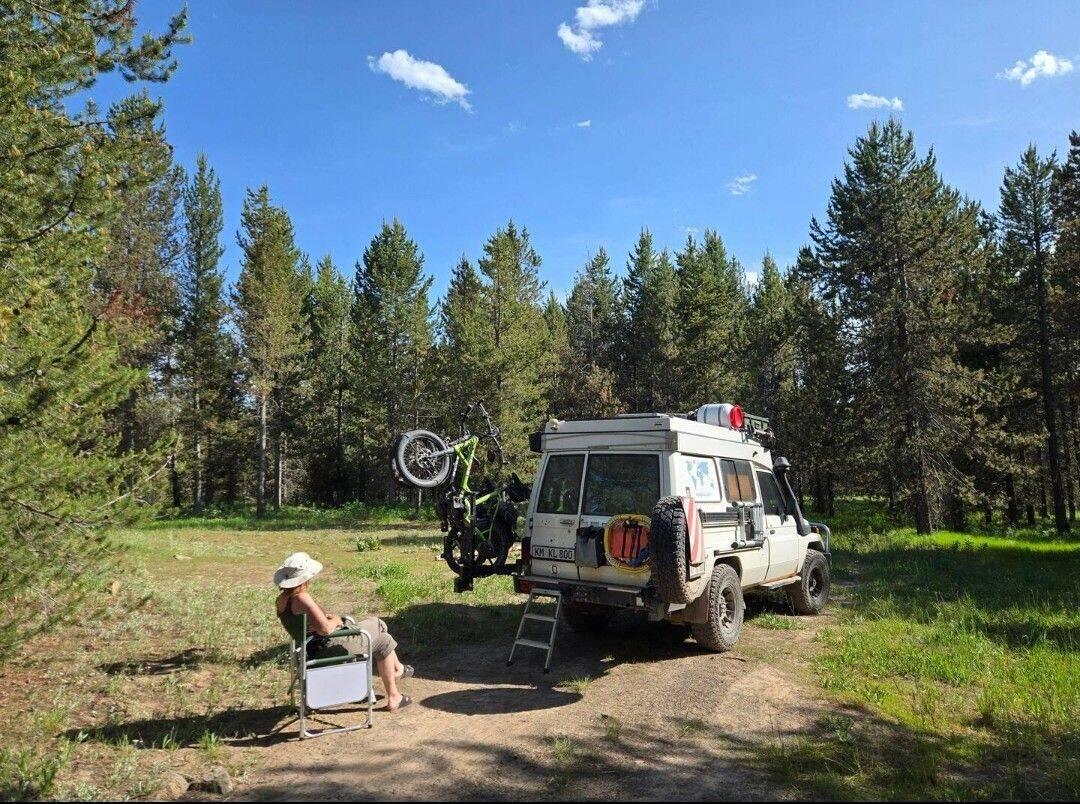 Im Wald von Idaho