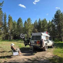 Im Wald von Idaho