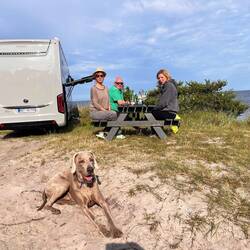 Abendessen mit Freunden