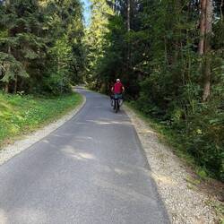 Die heutige Tour war gekennzeichnet von vielen kleineren Anstiegen und Abfahrten.
