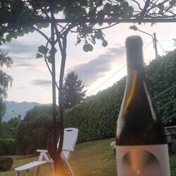 Gute Nacht!