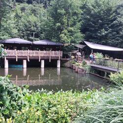 Fischers Fritze serviert frische Fische