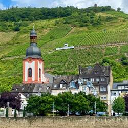 Zell an der Mosel, Lage Zeller Schwarze Katz