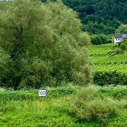 Mosel-Kilometer 100 bei dem Ort Burg