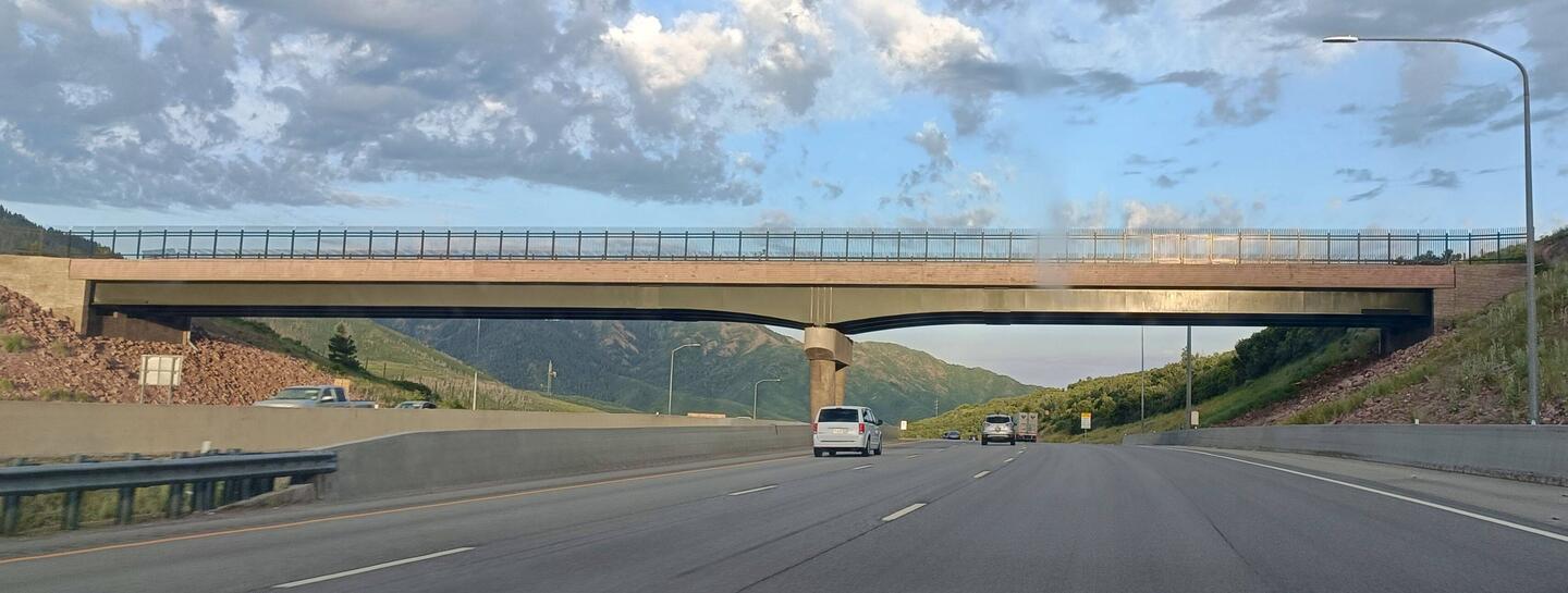 This overpass is for deer and other animals to help them safely cross the busy interstate roads