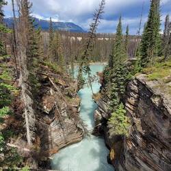 Athabasca Falls