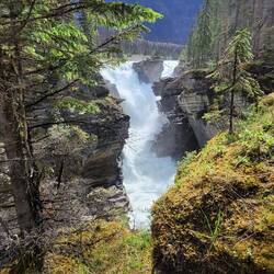Athabasca Falls