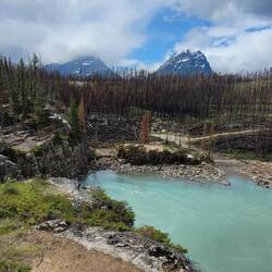 Athabasca Falls